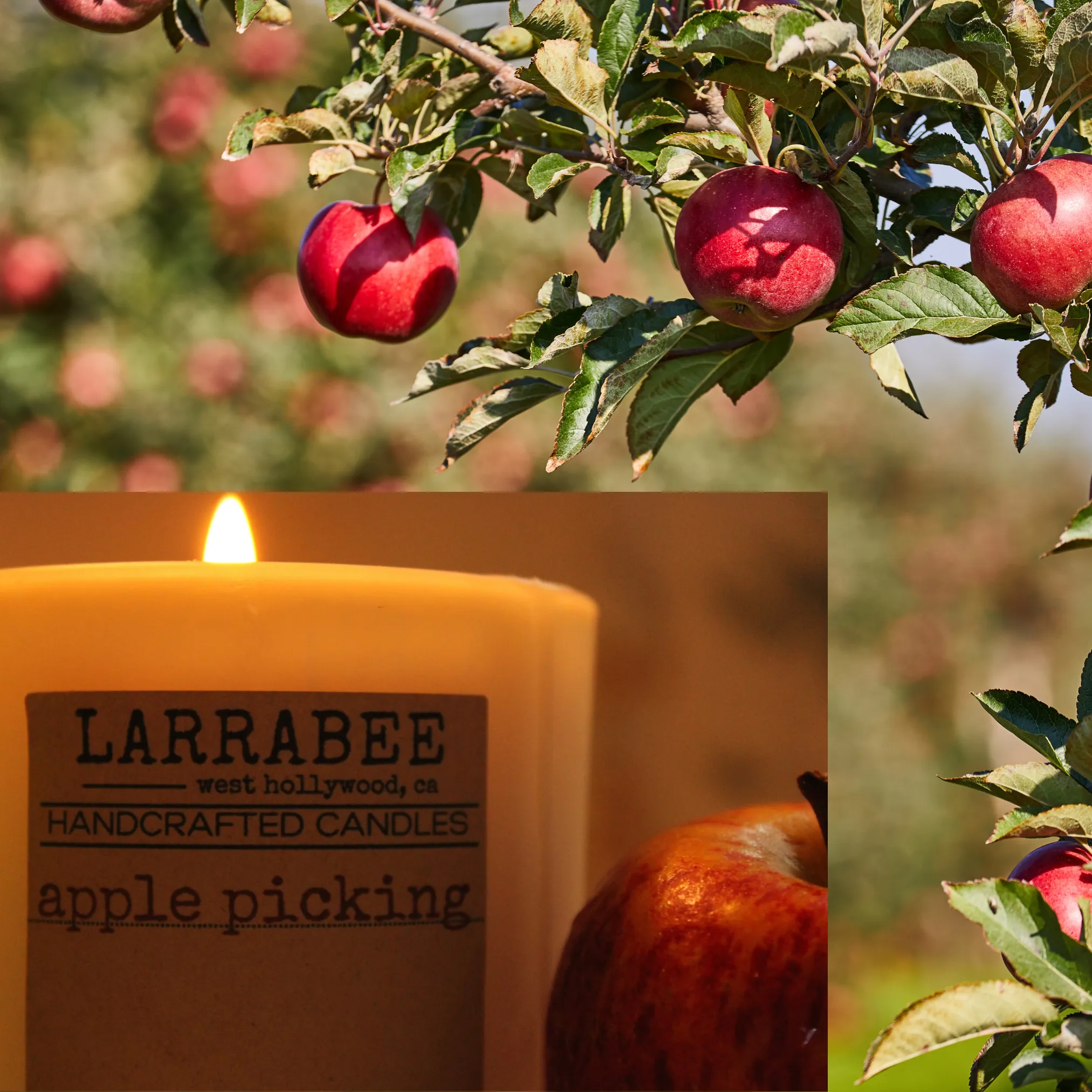 Apple Picking handcrafted candle