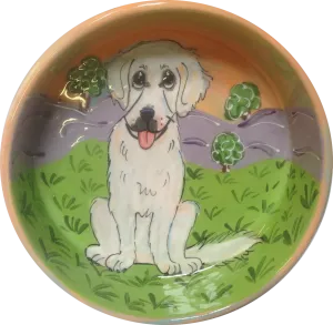 Custom Ceramic Dog Bowl