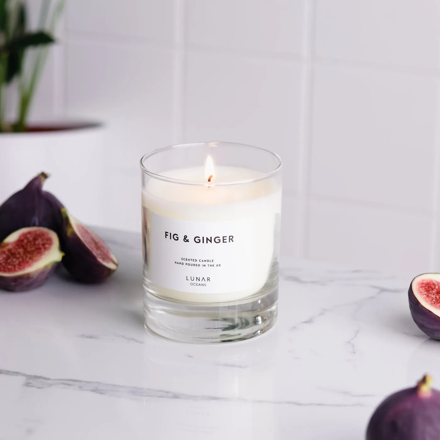 Fig & Ginger Scented Candle, 200g