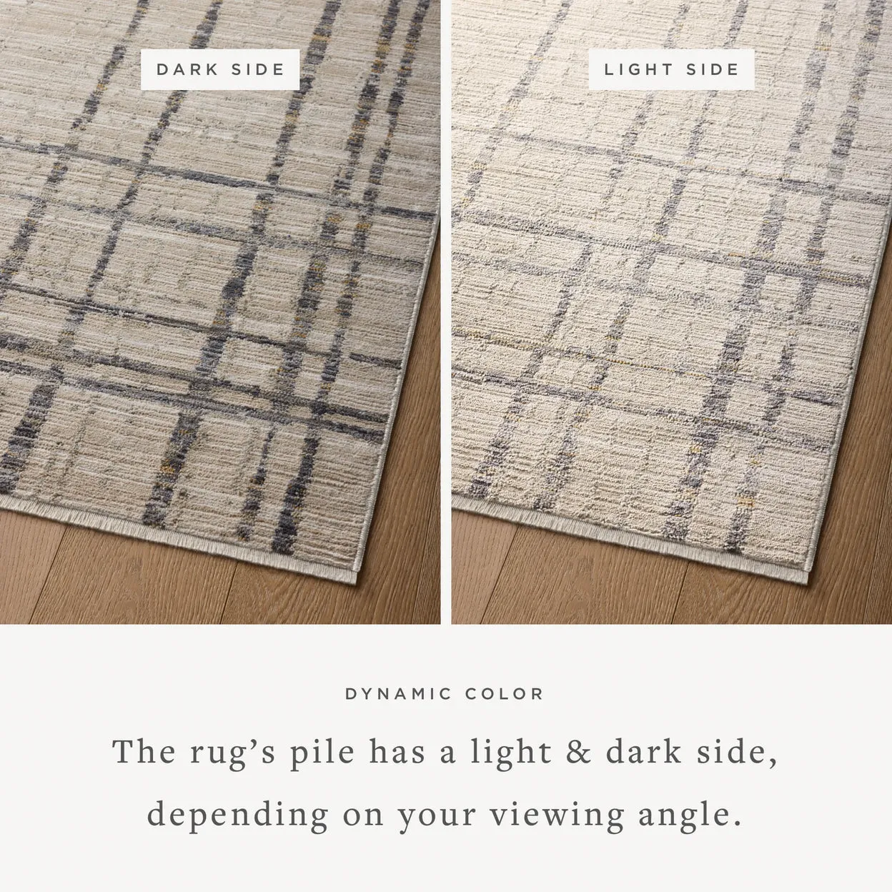 Loloi Wade Beige / Midnight Rug