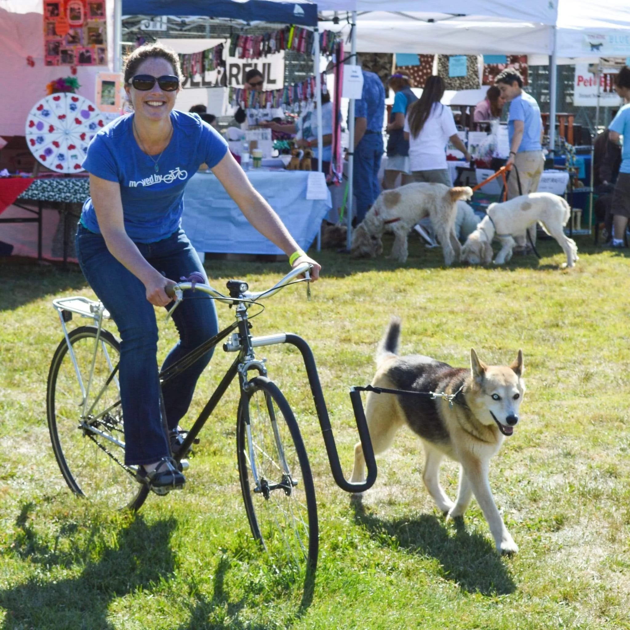 Moved By Bikes Dog Runner