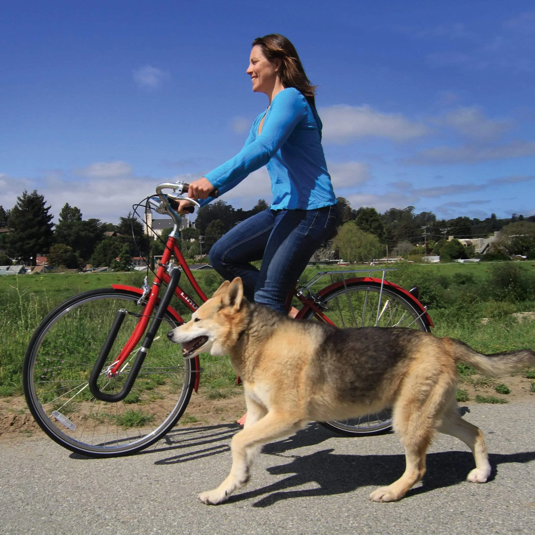 Moved By Bikes Dog Runner