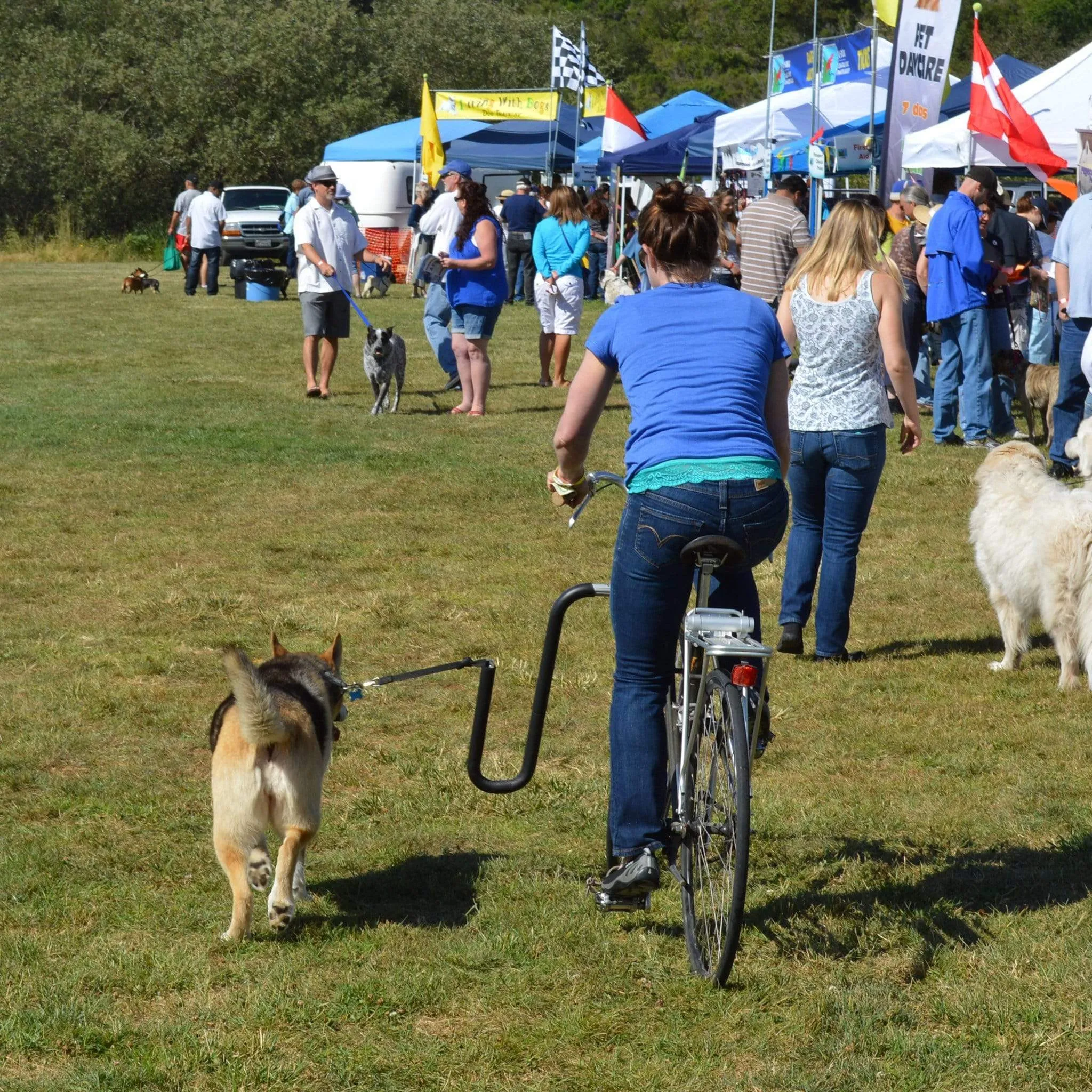 Moved By Bikes Dog Runner