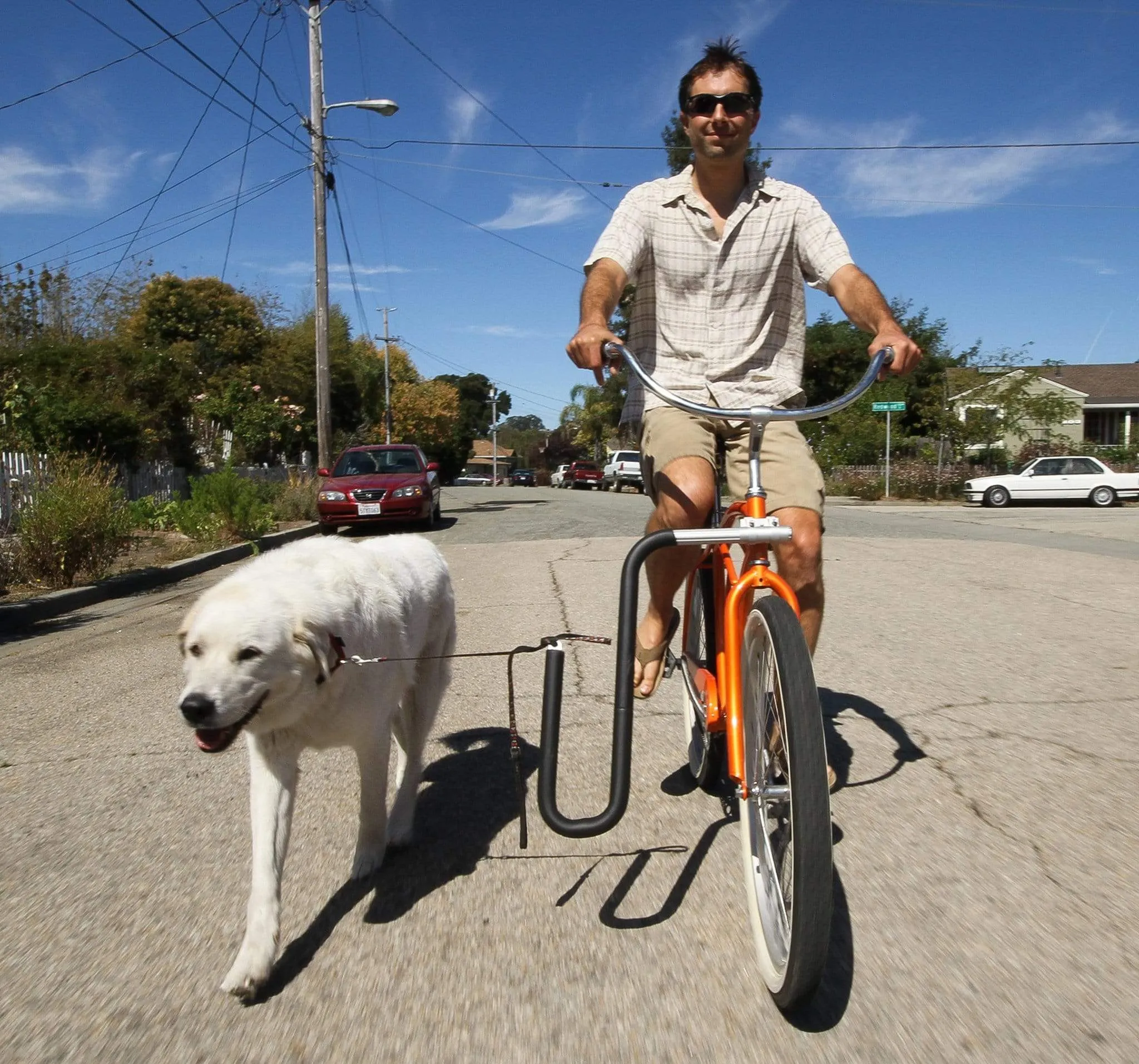 Moved By Bikes Dog Runner