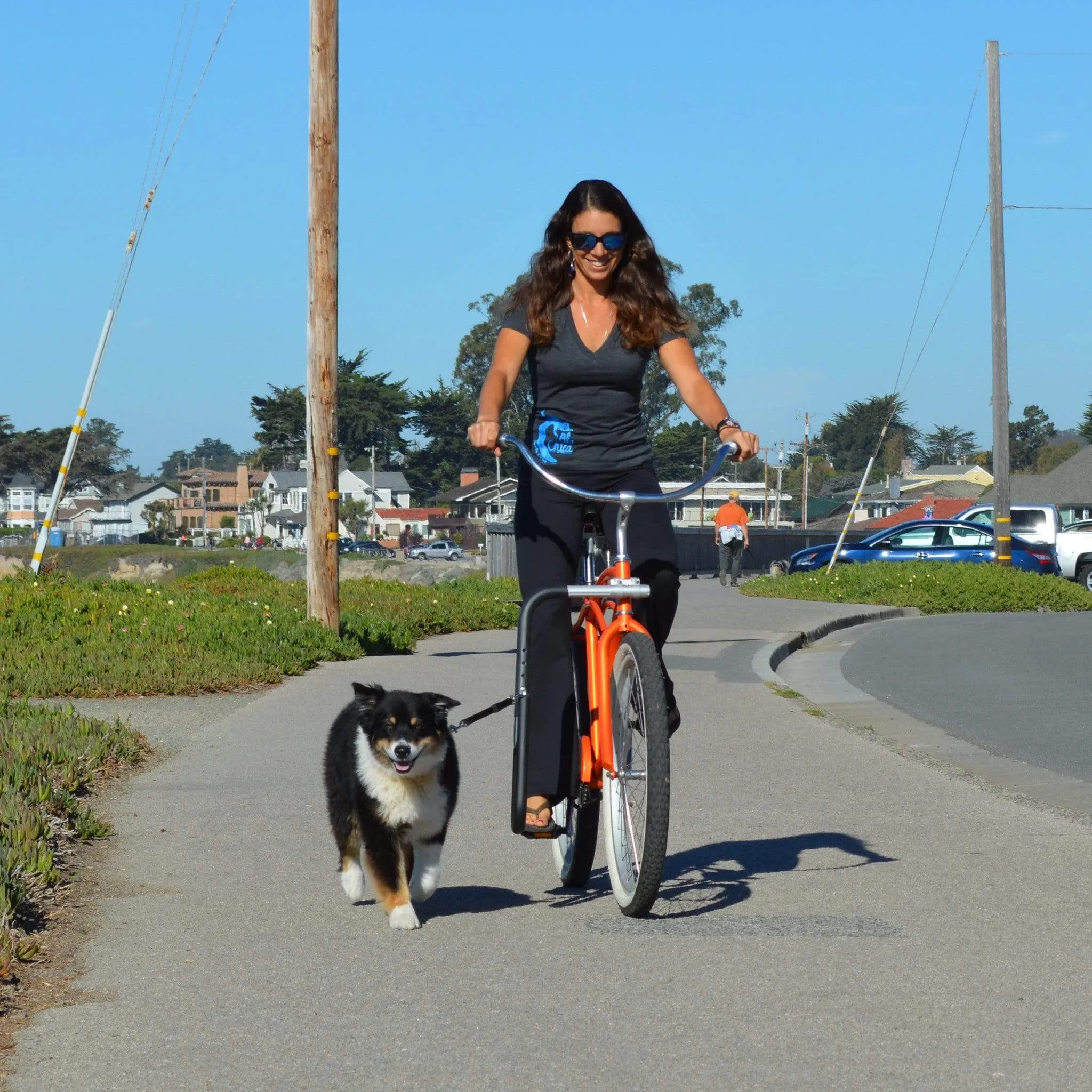 Moved By Bikes Dog Runner