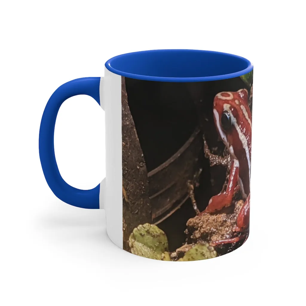 Red Frog 11oz Accent Mug