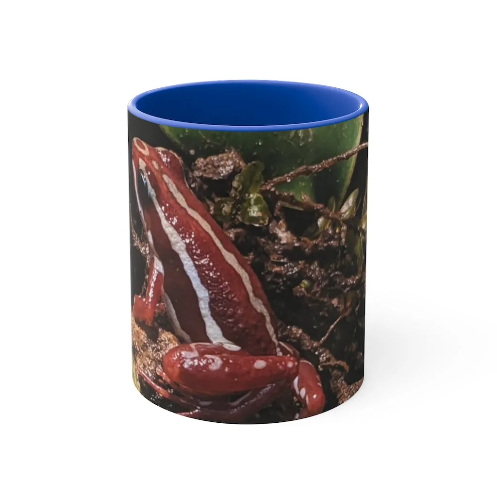 Red Frog 11oz Accent Mug