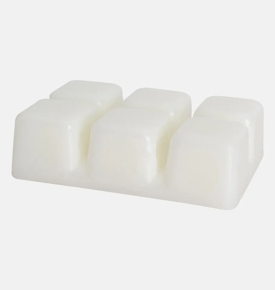 Tropical Watermelon Wax Melt 6 Pack